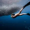 Image of Swimming