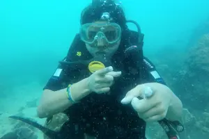 Tour image of [GROUP] SCUBA DIVING For Beginners in Phu Quoc Island (TRY DIVE)