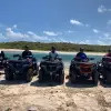 Image of Wildlife Watching