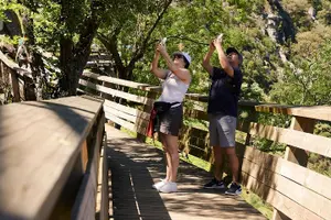 Tour image of Paiva Walkways Tour with Lunch and Transfers from Porto