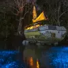 Image of On the Water