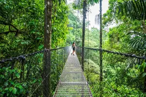 Tour image of La Fortuna: Mistico Park Hanging Bridges Guided Tour