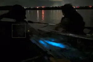 Tour image of Biobay Vieques Tour Kayak Night Tour