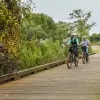 Image of Mountain Bike Tours