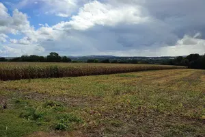 Tour image of Hiking Adventure in Van Gogh's Footsteps with 6 miles walk