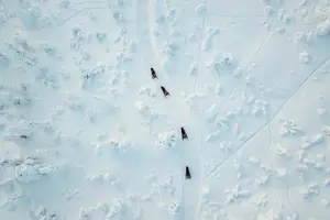 Tour image of Lappish Lunch Break -Snowmobiling, ice fishing and tasty food