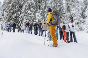 Tour image of Snowshoe tour in Winter Wonderland - Oslo