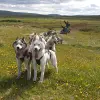Image of Nature and Wildlife Tours