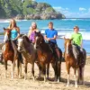 Image of Nature and Wildlife Tours
