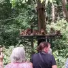 Image of Nature and Wildlife Tours