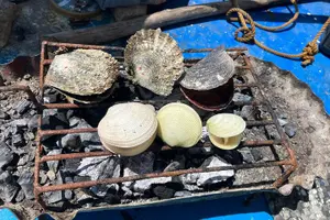 Tour image of From Cebu: Island Hopping to 3 islands with BBQ lunch