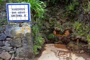 Tour image of Full-Day Furnas Tour: Hot Springs, Traditional Lunch & Tea