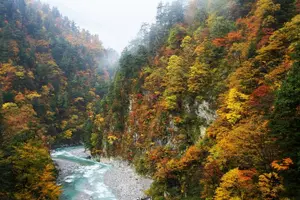 Tour image of Full Day Tour to Kurobe Gorge and Unazuki Onsen from Kanazawa