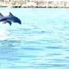Image of Nature and Wildlife Tours