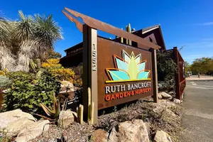 Tour image of Ruth Bancroft Garden General Admission Ticket