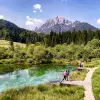 Image of Nature and Wildlife Tours