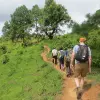 Image of Nature Walks