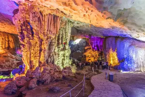 Tour image of Sea Octopus Cruise - Luxury Day Tour into Halong Bay