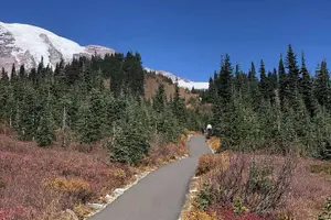 Tour image of Small Group Mt Rainier National Park Day Tour from Seattle 2CanGo