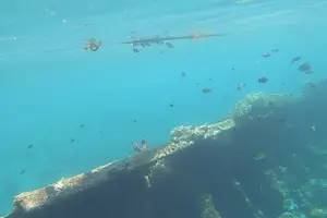 Tour image of Coron Reef and Wreck Tour D
