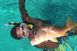 Tour image of Private Charter -Inner Reef Trolling/Spin Casting + Island Stop