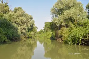 Tour image of Danube Delta PRIVATE boat trip to Mila23 Village (guided tour)