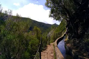 Tour image of Transfer Rabacal 25 Fontes & Risco Levada Self-Guided
