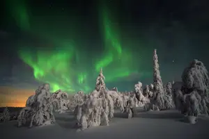 Tour image of Northern Lights Hunt Including Snacks on Campfire from Levi