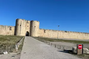 Tour image of Arles and Camargue Full-Day Tour including Aigues Mortes