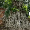 Image of Natural Attractions