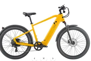 Tour image of Electric Bike Rentals in The Villages Florida