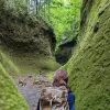 Image of Nature Walks