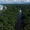 Image of Wildlife Encounters
