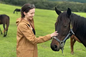 Tour image of Pasture Hike with Horse Whisperer at Horse Trust in Kagoshima