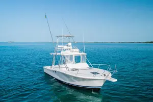Tour image of View the Turtles, Rose Island, Gilligan's Island and Fishing Tour