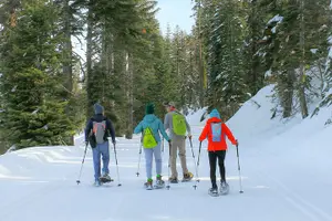 Tour image of Private Snowshoeing Adventure from Badger Pass to Dewey Point