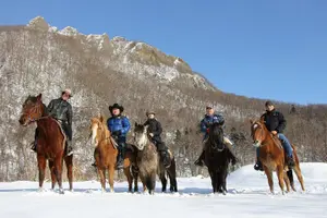 Tour image of Horseback-Riding in a Country Side in Sapporo - Private Transfer is Included