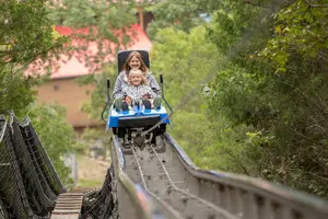 Tour image of Branson Alpine Mountain Coaster Ticket