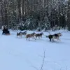 Image of Winter Sports