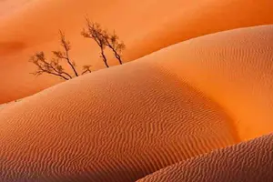 Tour image of Empty Quarter And Lost City Of Ubar