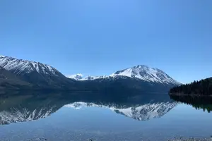 Tour image of Half Day Yukon Suspension Bridge & Summit Tour