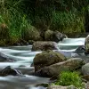 Image of Eco Tours