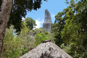 Tour image of Tikal from Flores or Mundo Maya Airport with transportation, local guide and lunch