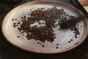 Tour image of Coffee Tour Adventure Antigua Guatemala