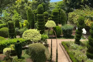 Tour image of Private Half day tour around Madeira Island