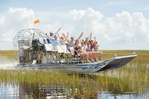 Tour image of Private Tour: Florida Everglades Airboat Ride and Wildlife Adventure
