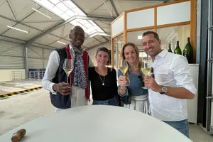 Tour image of Half Day Grape Harvest Experience with Tasting in Epernay