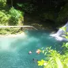 Image of Freediving