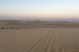 Tour image of Sunrise Desert Safari in Qatar: An Unforgettable Adventure