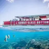 Image of Glass Bottom Boat Tours